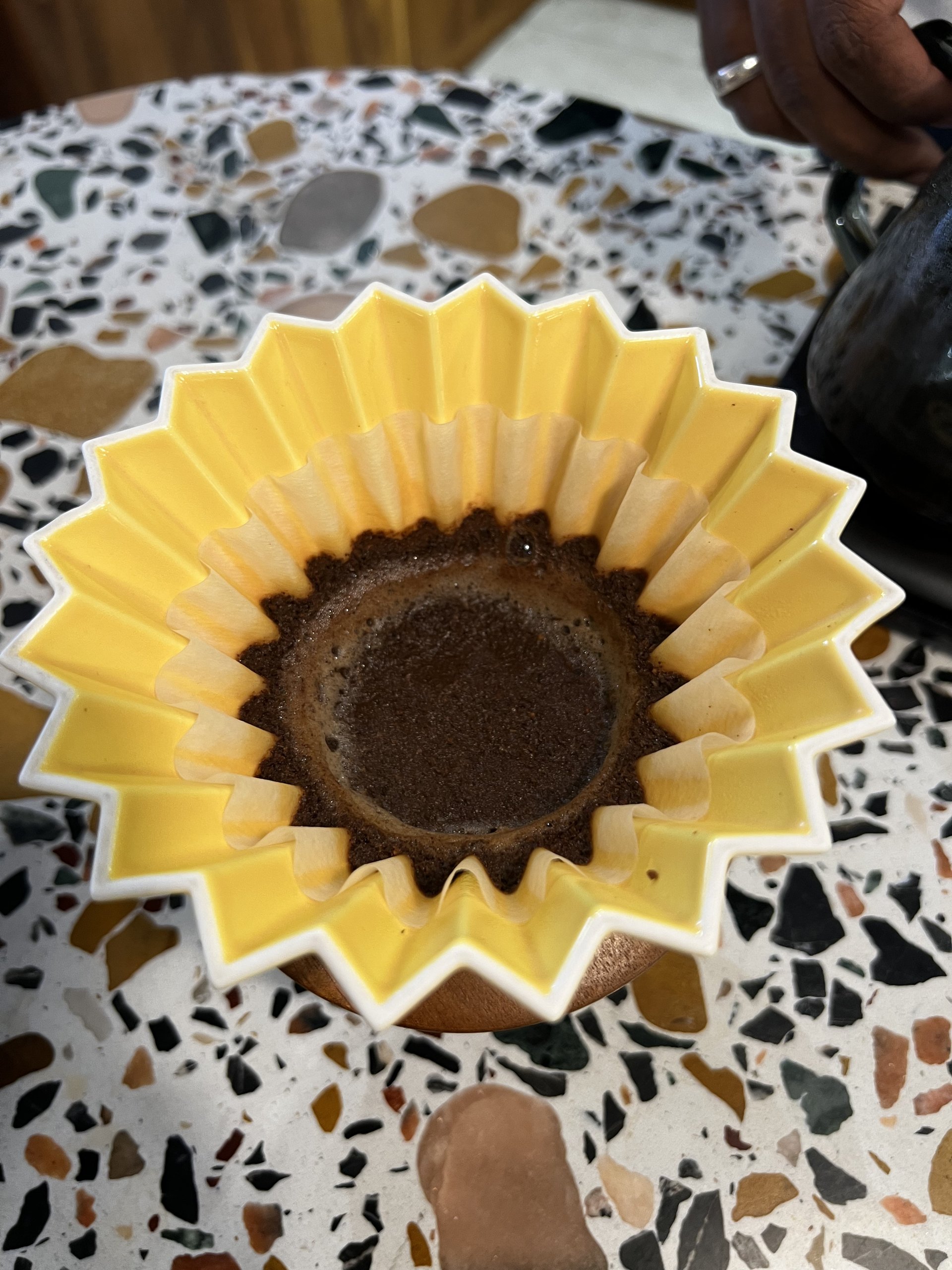 Origami pour-over at Big Cup Cafe