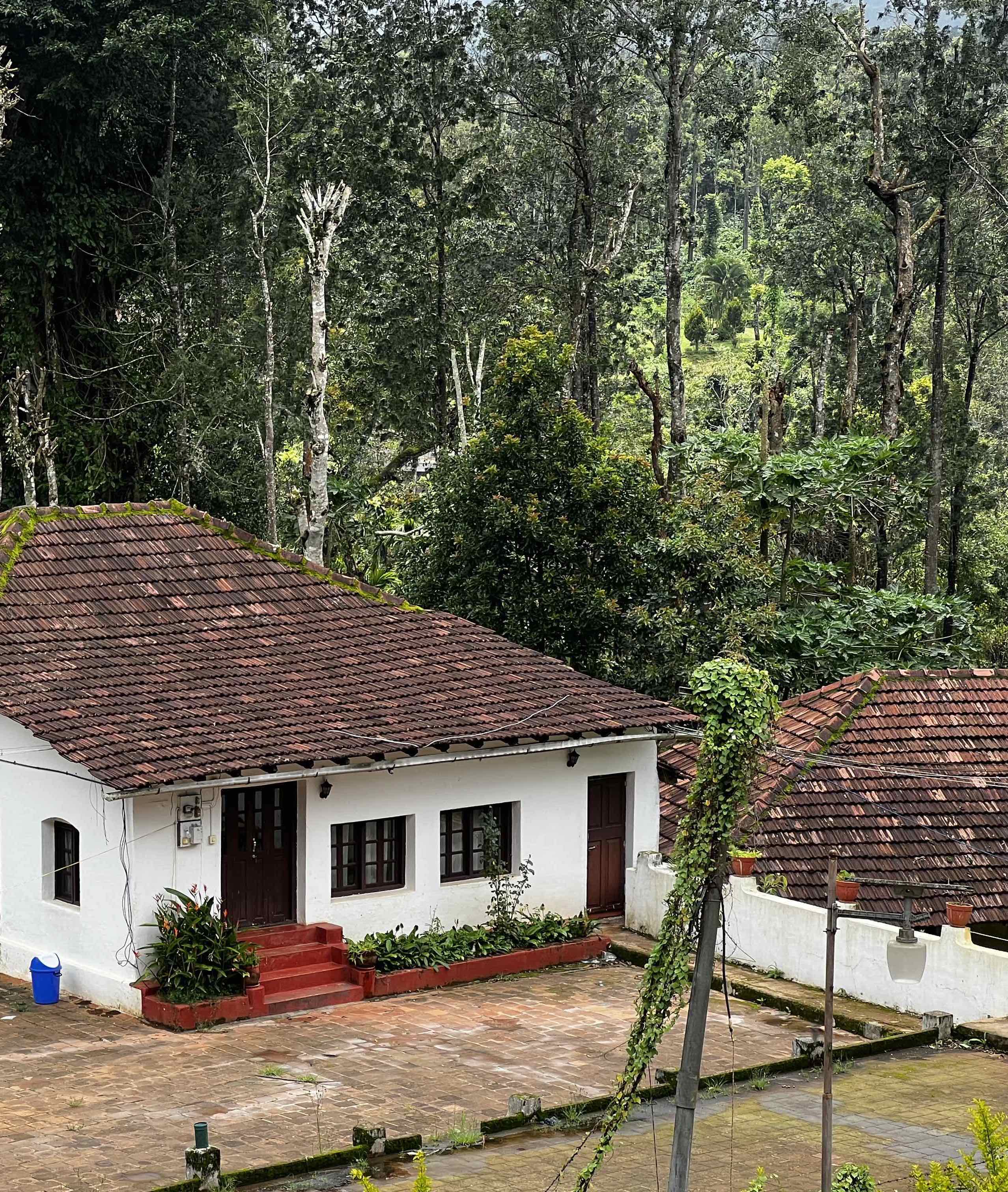Coffee plantation in Coorg